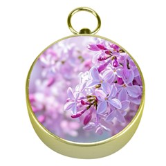 Pink Lilac Flowers Gold Compasses by FunnyCow