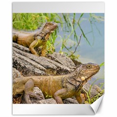 Iguanas At Shore Of River In Guayaqui, Ecuador Canvas 16  X 20   by dflcprints