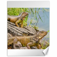 Iguanas At Shore Of River In Guayaqui, Ecuador Canvas 18  X 24   by dflcprints