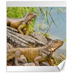 Iguanas At Shore Of River In Guayaqui, Ecuador Canvas 20  X 24   by dflcprints