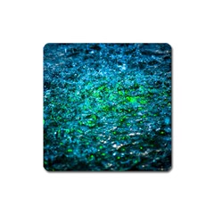 Water Color Green Square Magnet by FunnyCow