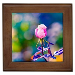 Pink Rose Flower Framed Tiles by FunnyCow