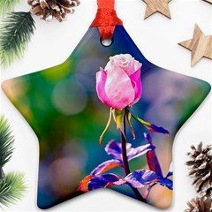 Pink Rose Flower Ornament (star) by FunnyCow