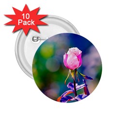 Pink Rose Flower 2 25  Buttons (10 Pack)  by FunnyCow