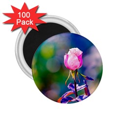 Pink Rose Flower 2 25  Magnets (100 Pack)  by FunnyCow