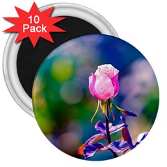 Pink Rose Flower 3  Magnets (10 Pack)  by FunnyCow