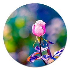 Pink Rose Flower Magnet 5  (round) by FunnyCow