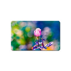 Pink Rose Flower Magnet (name Card) by FunnyCow