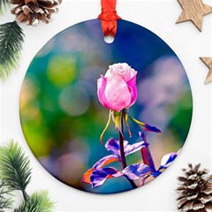 Pink Rose Flower Round Ornament (two Sides) by FunnyCow