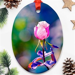 Pink Rose Flower Oval Ornament (two Sides) by FunnyCow