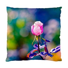 Pink Rose Flower Standard Cushion Case (one Side) by FunnyCow