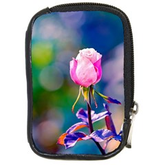 Pink Rose Flower Compact Camera Cases by FunnyCow