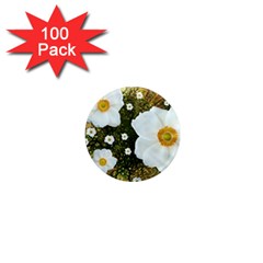 Summer Anemone Sylvestris 1  Mini Magnets (100 Pack)  by Nexatart