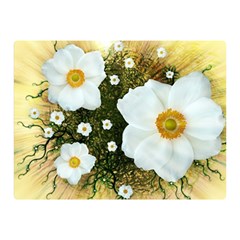 Summer Anemone Sylvestris Double Sided Flano Blanket (mini)  by Nexatart