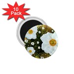 Summer Anemone Sylvestris 1.75  Magnets (10 pack)  Front