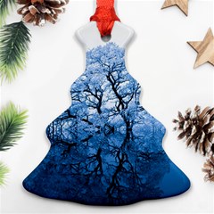 Nature Inspiration Trees Blue Christmas Tree Ornament (two Sides) by Nexatart