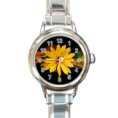 Sun Flower Blossom Bloom Particles Round Italian Charm Watch by Nexatart