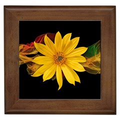 Sun Flower Blossom Bloom Particles Framed Tiles by Nexatart