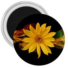 Sun Flower Blossom Bloom Particles 3  Magnets by Nexatart