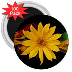 Sun Flower Blossom Bloom Particles 3  Magnets (100 Pack) by Nexatart