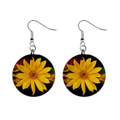 Sun Flower Blossom Bloom Particles Mini Button Earrings by Nexatart