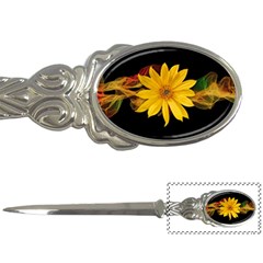 Sun Flower Blossom Bloom Particles Letter Openers by Nexatart