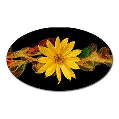 Sun Flower Blossom Bloom Particles Oval Magnet by Nexatart