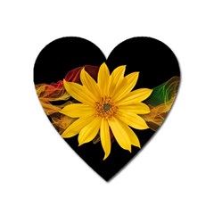 Sun Flower Blossom Bloom Particles Heart Magnet by Nexatart