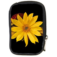 Sun Flower Blossom Bloom Particles Compact Camera Cases by Nexatart