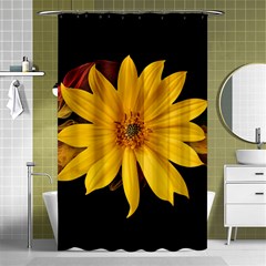 Sun Flower Blossom Bloom Particles Shower Curtain 48  X 72  (small)  by Nexatart