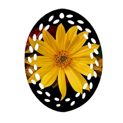 Sun Flower Blossom Bloom Particles Oval Filigree Ornament (two Sides) by Nexatart