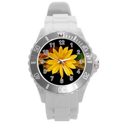 Sun Flower Blossom Bloom Particles Round Plastic Sport Watch (l) by Nexatart