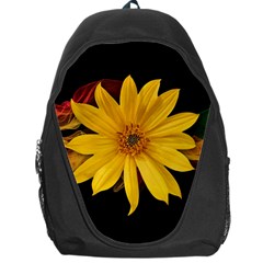 Sun Flower Blossom Bloom Particles Backpack Bag by Nexatart