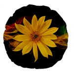 Sun Flower Blossom Bloom Particles Large 18  Premium Round Cushions Back