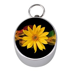 Sun Flower Blossom Bloom Particles Mini Silver Compasses by Nexatart