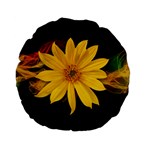 Sun Flower Blossom Bloom Particles Standard 15  Premium Flano Round Cushions Back