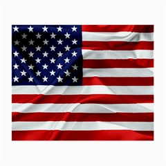 American Usa Flag Small Glasses Cloth (2-side) by FunnyCow