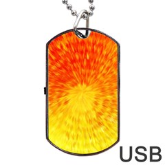 Abstract Explosion Blow Up Circle Dog Tag Usb Flash (two Sides) by Nexatart