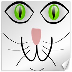 Cat Green Eyes Happy Animal Pet Canvas 16  X 16  