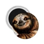 Sloth Smiles 2.25  Magnets Front