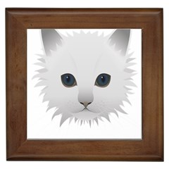 Cat Animal Pet Kitty Cats Kitten Framed Tiles by Sapixe