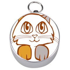 Animal Cat Feline Kitten Pet Silver Compasses by Sapixe