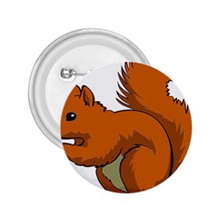 Squirrel Animal Pet 2 25  Buttons by Sapixe