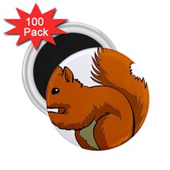 Squirrel Animal Pet 2 25  Magnets (100 Pack)  by Sapixe