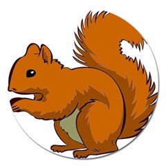 Squirrel Animal Pet Magnet 5  (round) by Sapixe