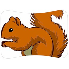 Squirrel Animal Pet Velour Seat Head Rest Cushion