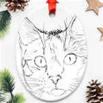 Cat Feline Animal Pet Ornament (Oval) Front