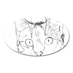 Cat Feline Animal Pet Oval Magnet Front