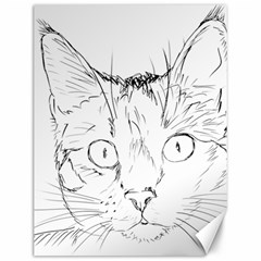 Cat Feline Animal Pet Canvas 12  X 16   by Sapixe