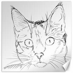 Cat Feline Animal Pet Canvas 16  X 16   by Sapixe